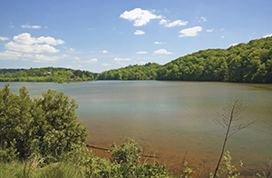 Locust Grove Property Managers